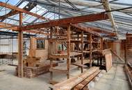 Grundstück mit alter Gärtnerei und Altbestand