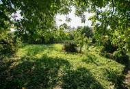 Historisches Winzerhaus in Langenlois