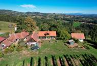Ein eigenes Reich hoch über den Weinbergen in Plateaulage - alte weststeirische Baukultur trifft neue Ausbaumöglichkeiten