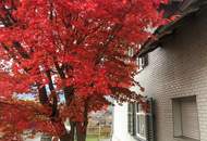 Schmuckes Häuschen mit traumhafter Aussicht in Nenzing