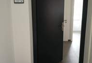 WG gesucht? - Charmante Etagenwohnung