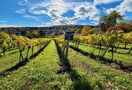 EINE DER SCHÖNSTEN LAGEN WIENS! SALMANNSDORFER ERSTBEZUG MIT 4 ZIMMERN UND GARAGE