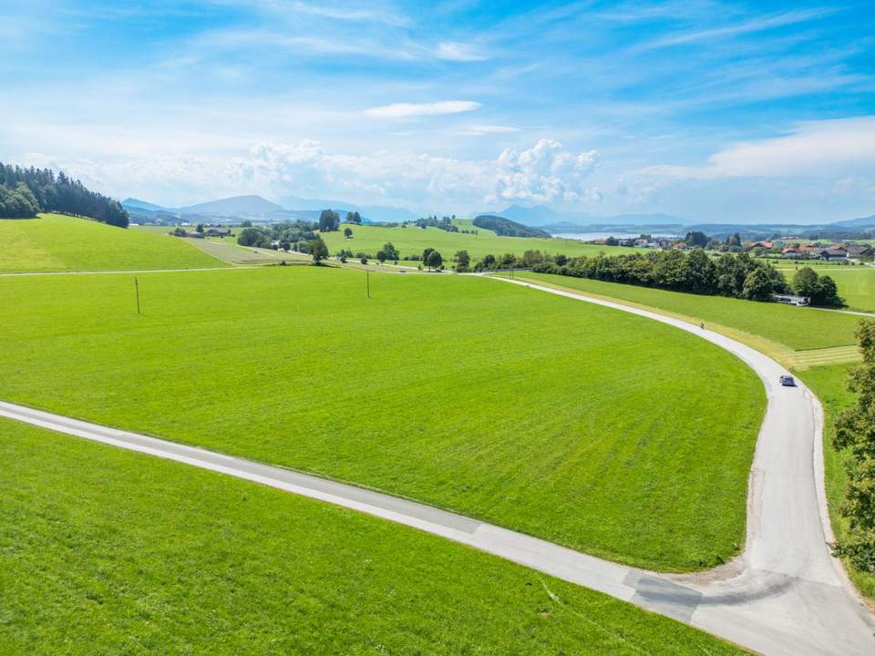 Exklusives Grundstück mit Altbestand und traumhaftem Blick auf Schloss und Alpen