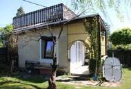 "Erste Reihe Alte Donau''