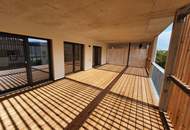 Sehr helle 2-Zimmer-Wohnung mit überdachter Terrasse