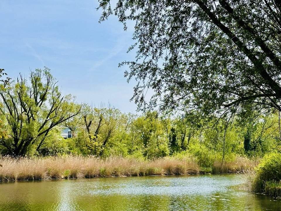 Wunderschöner Eigengrund - direkt am Mühlwasser - ganzjährig wohnen - 1220 Wien