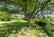 Einfamilienhaus in Panoramalage mit großem Garten | sanierungsbedürftig