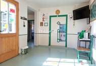 Repräsentative Villa in Zwettl mit 2137 m² Grundstück - Wohnen und Arbeiten stilvoll vereint