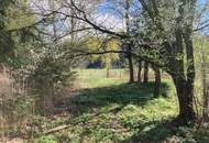 Landschaftsteich mit kleinem Waldanteil (Provisionsfrei)