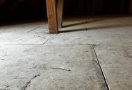 Helle und ruhige 3-Zimmer Wohnung mit optimalem Grundriss, separater Küche und Kellerabteil - sanierungsbedürftig - Nähe Türkenschanzpark