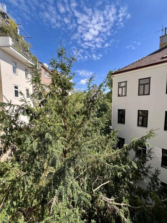 Altbauwohnungen mit Weitblick Nähe Meiselmarkt!