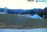 Betriebsbaugrund Waidhofen/Y - Gaflenz