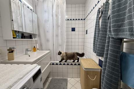 Charmante Eigentumswohnung in 3680 – Ideal für Familien und Pärchen!, Wohnung-kauf, 169.000,€, 3680 Melk