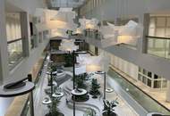 Erstbezug - High-Class Bürofläche im Kärntnerringhof mit Blick auf den Ring zu mieten