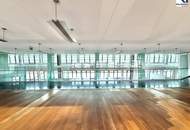 LUXUS-LOFT/ GROSSRAUMBÜRO IN DER WIENER BÖRSE