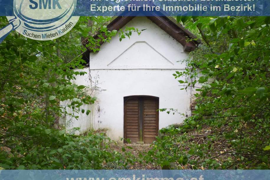 Weinkeller mit riesen Waldgrundstück Nähe A5!, Haus-kauf, 44.000,€, 2163 Mistelbach