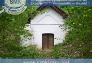 Weinkeller mit riesen Waldgrundstück Nähe A5!