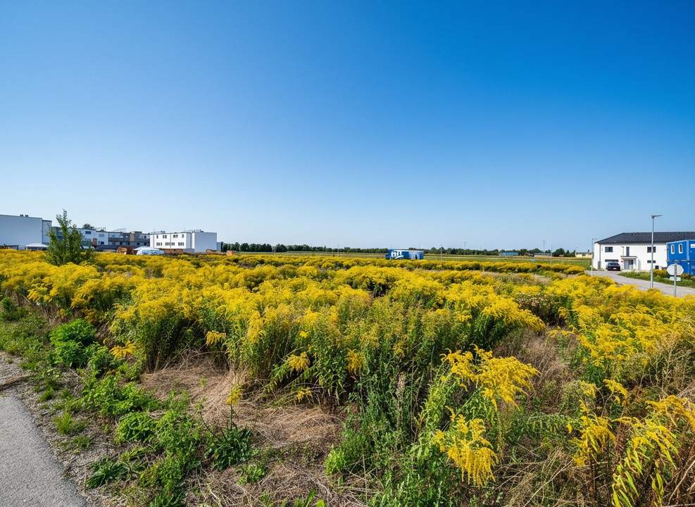 Mehrgenerationen Wohnbauprojekt - vor den Toren Wiens