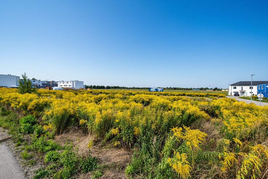 Mehrgenerationen Wohnbauprojekt - vor den Toren Wiens, Grund und Boden-kauf, 2201 Korneuburg