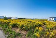 Mehrgenerationen Wohnbauprojekt - vor den Toren Wiens