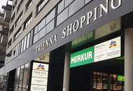 Attraktive 3-Zimmer-Wohnung mit Balkon und Premium-Ausstattung in 1030 Wien