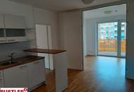 Mietwohnung, 3 Zimmer + Küche mit Essbereich + Balkon, in Linz Stadt