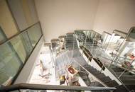 Historisches Gewerbe-Wohnobjekt in Wiener Neustadt