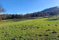 10 ha Grünland und Forstwirtschaftsflächen in Feichsen