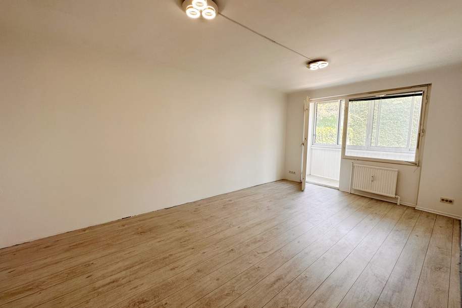 Freihausviertel! 2 Loggien in den grünen und ruhigen Innenhof. Fußläufig zum Naschmarkt!, Wohnung-kauf, 319.000,€, 1040 Wien 4., Wieden