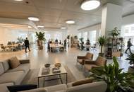 ## Ihr BÜRO im Herzen des NORDBAHNVIERTELS ##