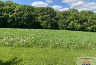 WUNDERSCHÖNE Aussicht, sehr RUHIGE Lage!