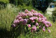 Einfamilienhaus mit viel Potenzial - Wohnen mit Weitblick