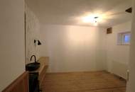 Besonderes Einfamilienhaus, großer Garten, Zentrumnähe