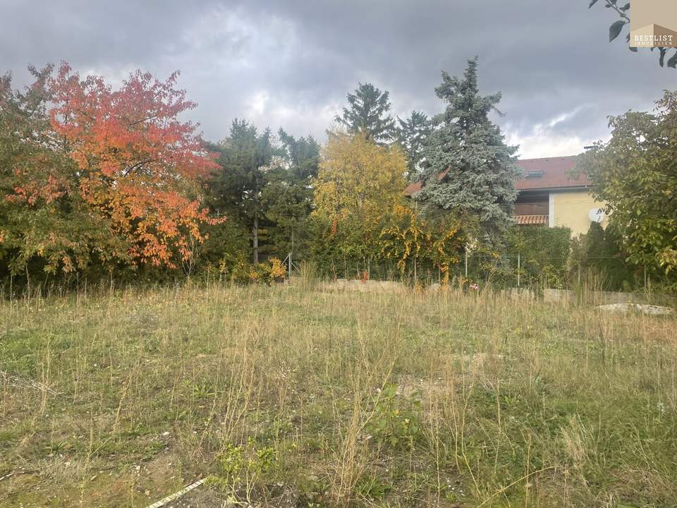 Baugrundstück in Kottingbrunn