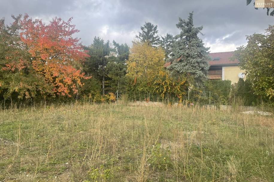 Baugrundstück in Kottingbrunn, Grund und Boden-kauf, 315.000,€, 2542 Baden