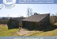 Zum Ausbau freigegeben: altes Bauernhaus + riesiges Grundstück!