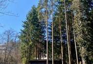 Ruhig, grün und sonnig! Schöner Baugrund im beschaulichen Walpersbach Nähe Bad Erlach