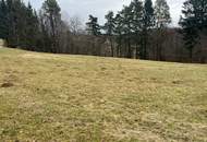 Baugrundstück in absoluter Ruhelage