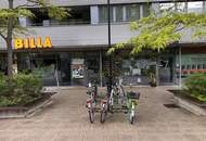 2-Zimmer Wohnung im Wohnpark Donaucity inkl. Komplettküche, Loggia und Kellerabtei