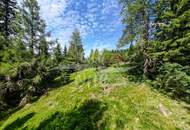 Freizeitwohnsitz- sonniger Baugrund mit Ausblick auf der Flattnitz