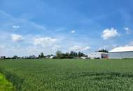 Betriebsbaugrundstücke in Hörsching