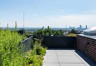 Penthousetraum mit Blick in die Weingärten