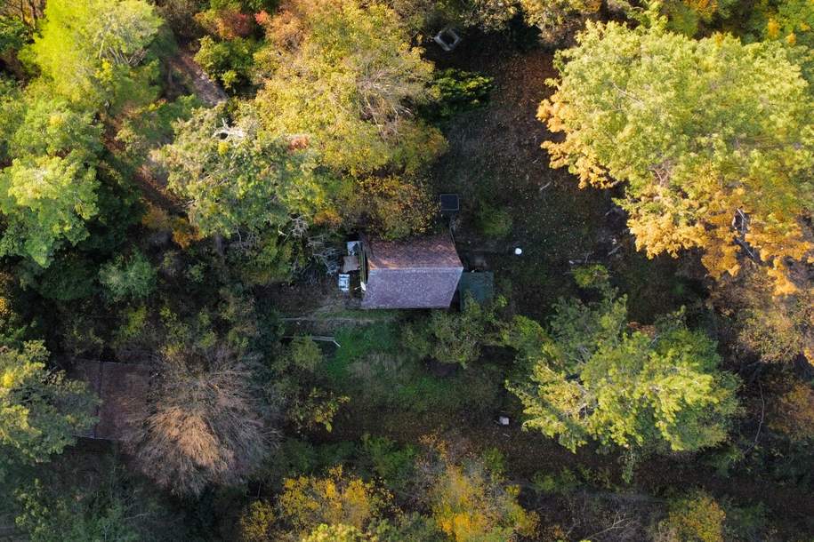 Unglaubliches Erholungsrefugium I Einzigartiges Jagdhäuschen auf Eigengrund nächst Lainzer Tiergarten!, Grund und Boden-kauf, 198.000,€, 1230 Wien 23., Liesing