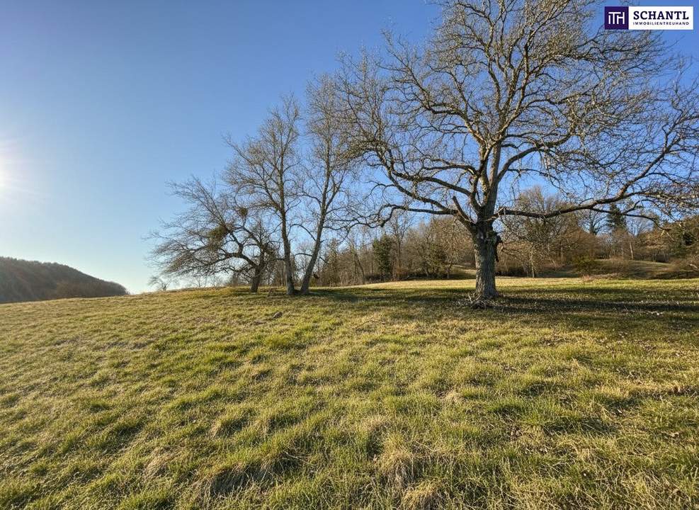 7 Parzellen verfügbar - Tolles Baugrundstück am Sonnenhang in Prenning bei Deutschfeistritz – 3.700 m², aufteilbar in 7 Parzellen