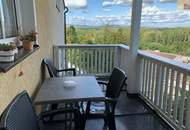 Etablierter, aktiver Pensionsbetrieb in Kritzendorf bei Klosterneuburg