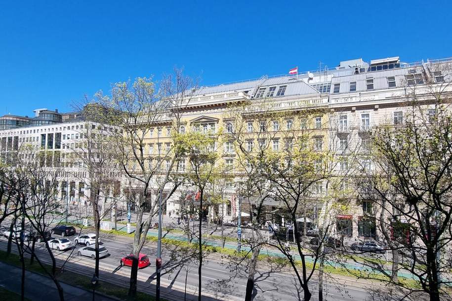 Modernes saniertes Büro/Praxis in zentraler Lage, mit allen Extras - nähe Oper, Gewerbeobjekt-miete, 3.557,71,€, 1010 Wien 1., Innere Stadt