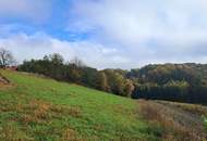 Die eigene Ranch auf 9,2ha Grund und Wald verwirklichen (Provisionsfrei)