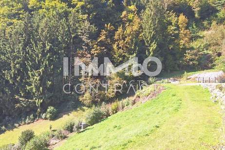 Baugrund 1.177 m² mit Donaublick - Südhang - mit angrenzenden kleinen Grünland 255 m² - St. Nikola, Grund und Boden-kauf, 44.500,€, 4381 Perg