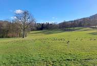 10 ha Grünland und Forstwirtschaftsflächen in Feichsen