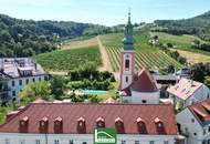 Entspannen und Geniessen – sanierte Wohnung in Traumlage zwischen Donau und Weinbergen! - JETZT ZUSCHLAGEN